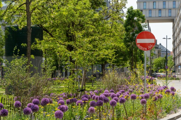 Bäume, Pflanzen, Blüten, Verkehrszeichen, Gebäude, Langauergasse