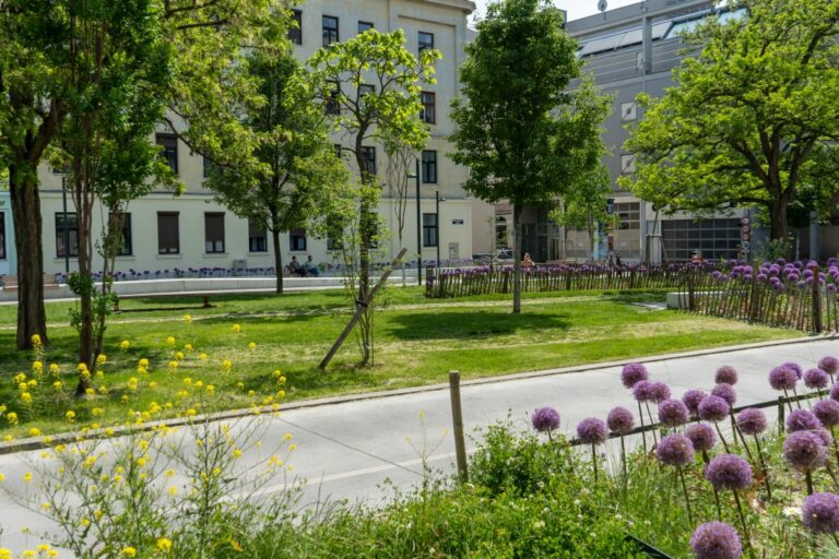 Park in 1150 Wien, Bäume, Rasen, blühende Pflanzen, Fahrbahn, Gebäude