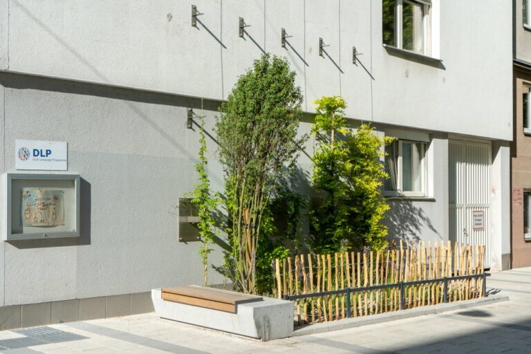 Kletterpflanzen auf Drähten auf einem Schulgebäude in der Pfeilgasse