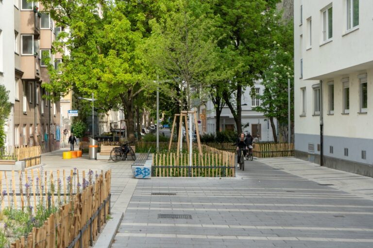 Pfeilgasse, Grünflächen, Bäume, Radfahrerin, Pflasterung, Häuser