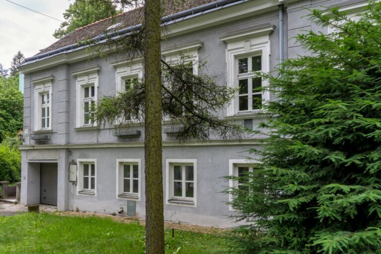 Altbau in Grinzing, Historismus-Dekor, Bäume, Rasen