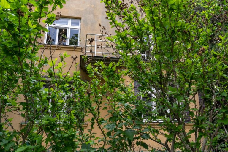 Einfamilienhaus aus der Zwischenkriegszeit in Döbling hinter Pflanzen, Gersunygasse