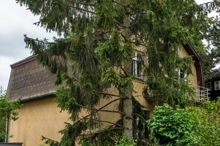 Gersunygasse 14 in Döbling, Einfamilienhaus, Satteldach, Bäume, Sträucher, Balkon