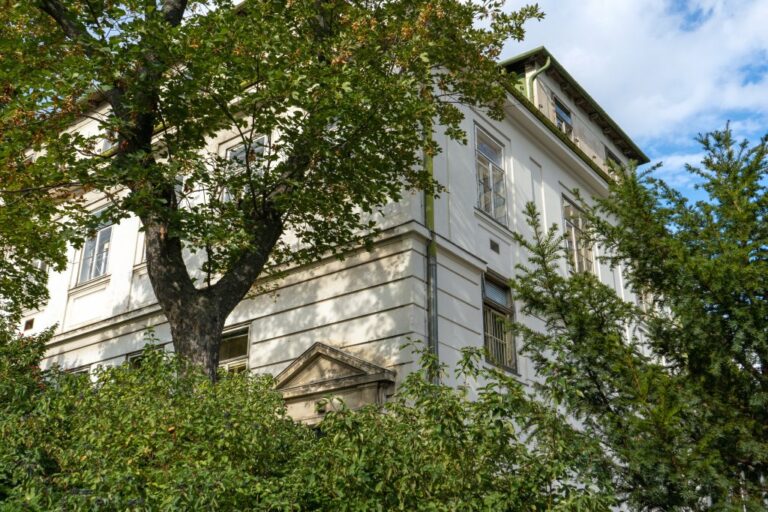 altes Klinikgebäude hinter Bäumen und Sträuchern