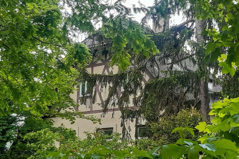 Villa in Wien-Penzing hinter Bäumen, Fachwerk, Jahrhundertwende-Architektur