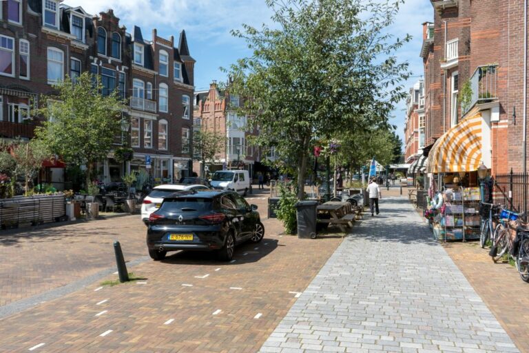 Straße in Den Haag, Bäume, Autos, abgestellte Fahrräder, alte Häuser