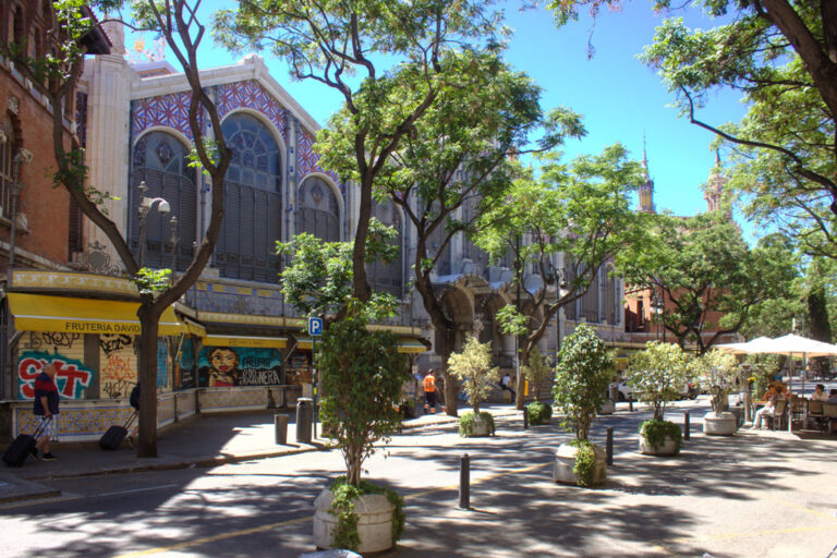 alte Markthalle, Bäume