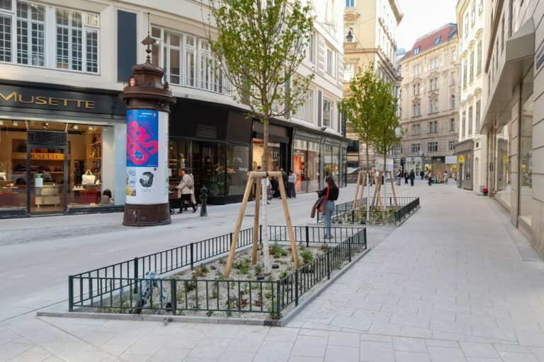 neu gepflanzte Bäume am Bauernmarkt in Wien, alte Litfaßsäule