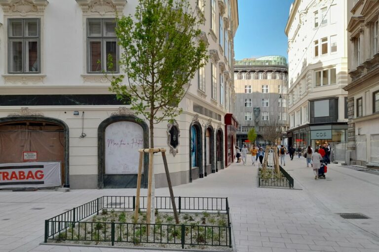 neue Bäume an der Ecke Bauernmarkt/Freisingergasse, Blick zur Brandstätte aufs Zacherlhaus