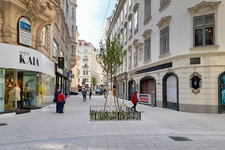 Fußgängerzone, Bäume, Bauernmarkt 1