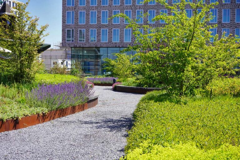 neuer Park mit Wegen zwischen Grünflächen, dahinter ein Gebäude