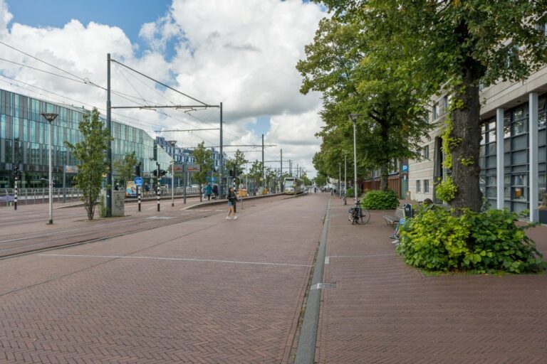 Straße mit Fußgängerin und Straßenbahn, Bäume, links Neubau mit Glasfassade