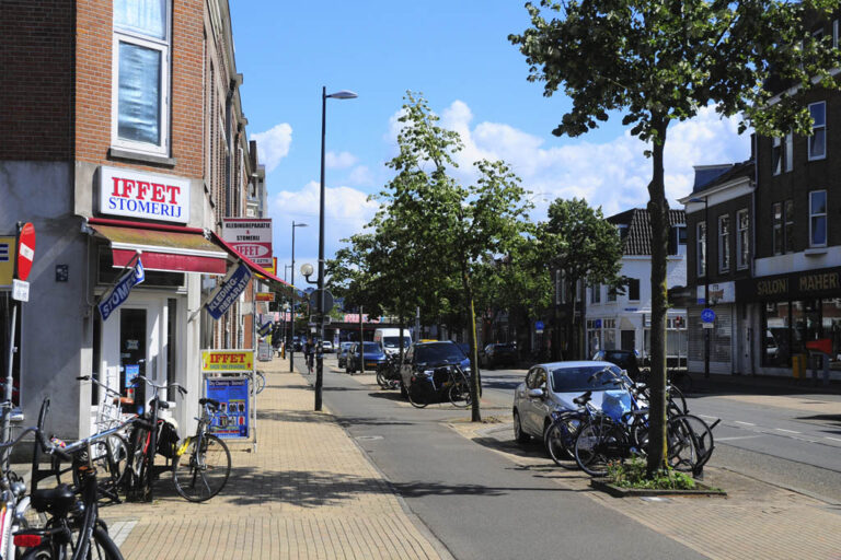 Straße in Utrecht mit Radweg und Bäumen