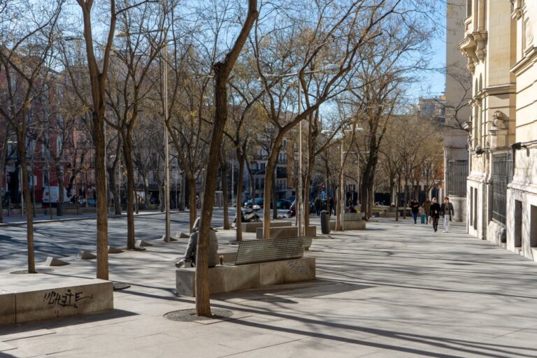 Straße in Madrid mit vielen Bäumen