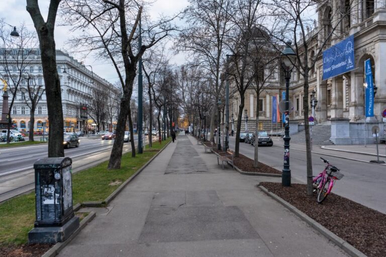 Straße vor der Universität Wien