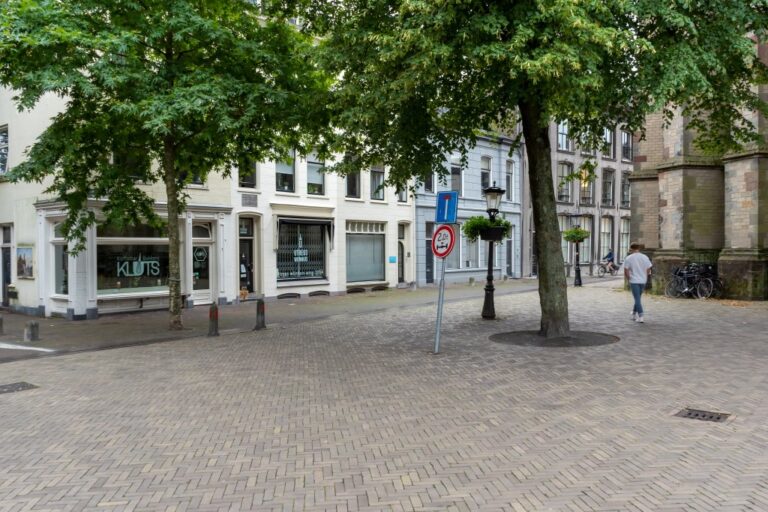 Straße in Utrecht, Baum