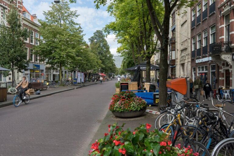 Straße in Den Haag mit Bäumen