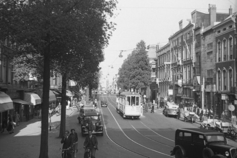Straßenbahn, Autos, Bäume, Häuser
