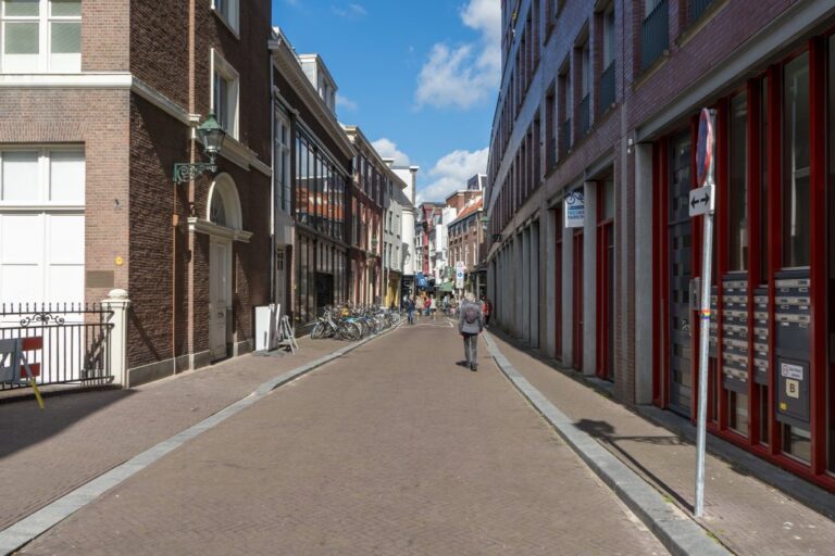 Straße, Fußgänger