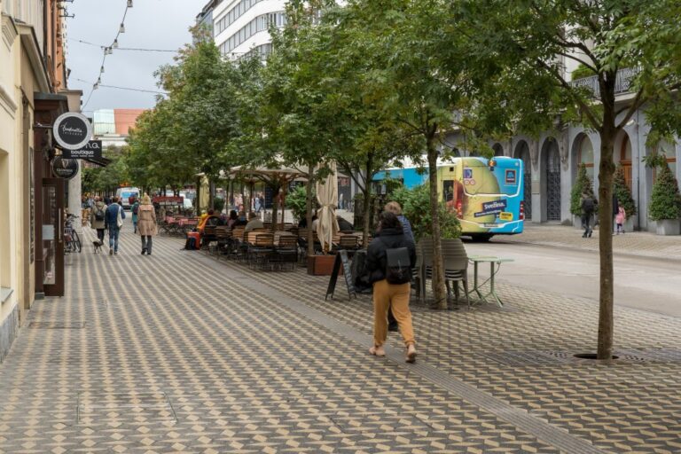 Straße mit Bäumen in Ljubljana