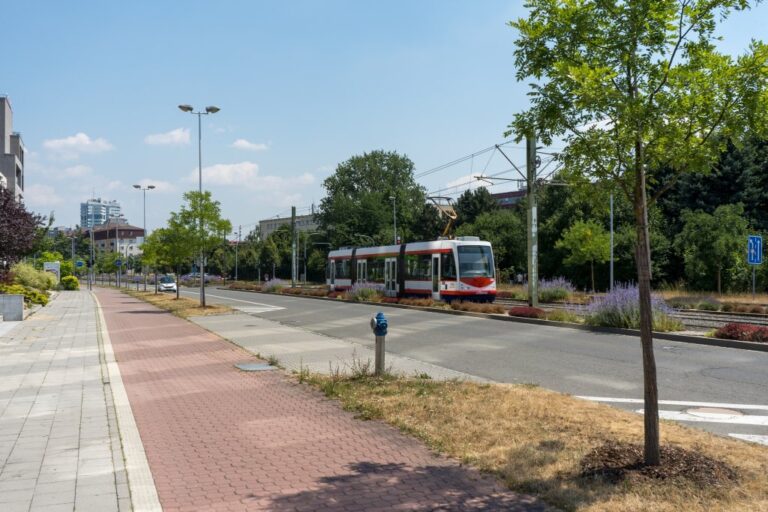 Straßenbahn und Radweg in Olmütz