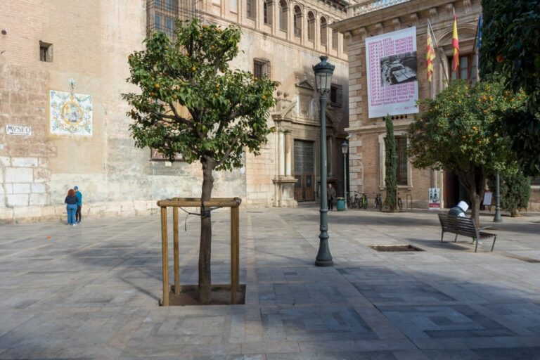 Platz im Zentrum von Valencia, Baum, Laterne, historische Gebäude