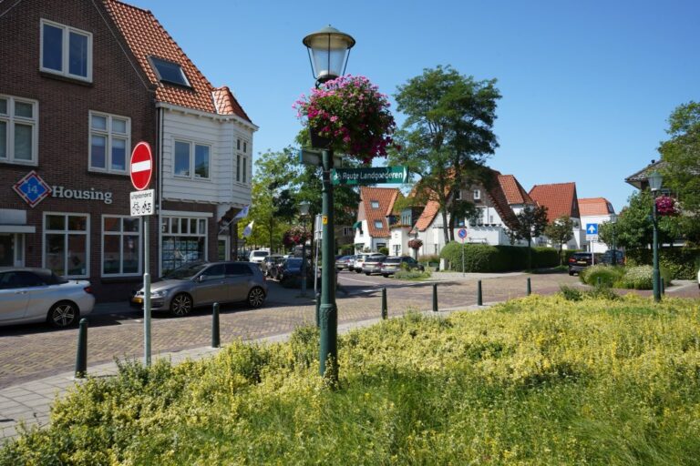 Grünfläche in einer niederländischen Stadt, Laterne, Häuser, Autos
