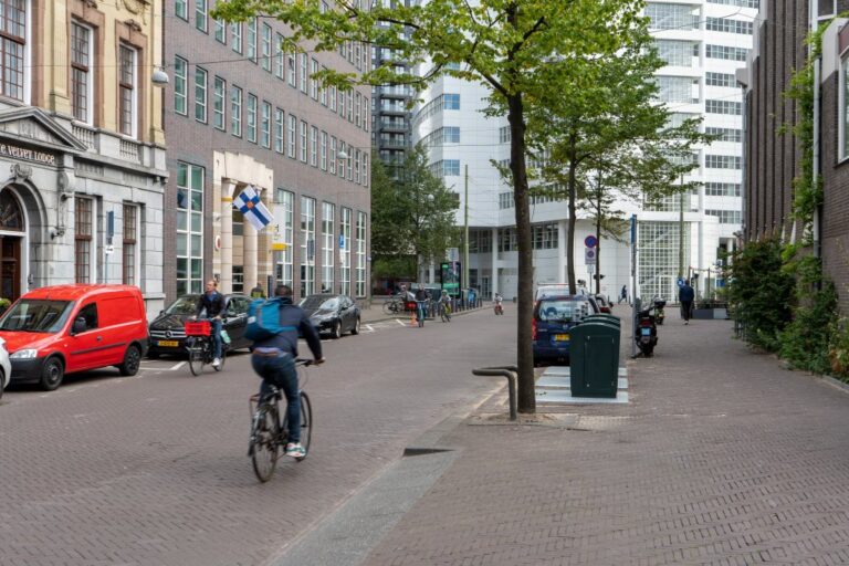 Radfahrer, Straße, Bäume, Häuser