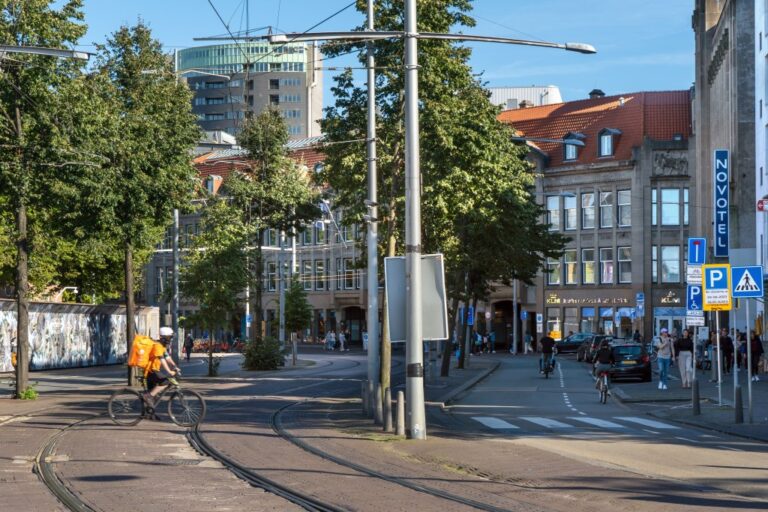 Straße mit Bäumen und Schienen in den Niederlanden