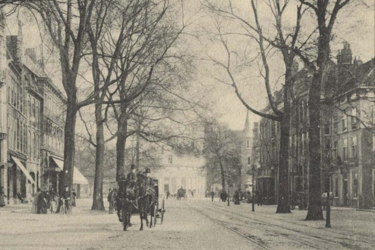 alte Aufnahme einer Straße, Bäume, Kutsche