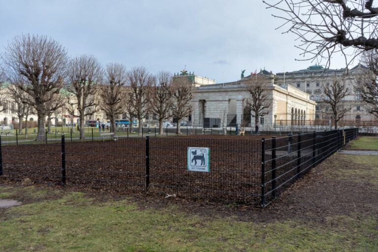 Heldenplatz, umzäunte Fläche, Burgtor, Bäume, Rasen