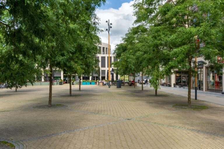 Bäume auf dem zentralen Platz eines Stadtentwicklungsgebiets von Utrecht, Blick auf das Bibliotheksgebäude
