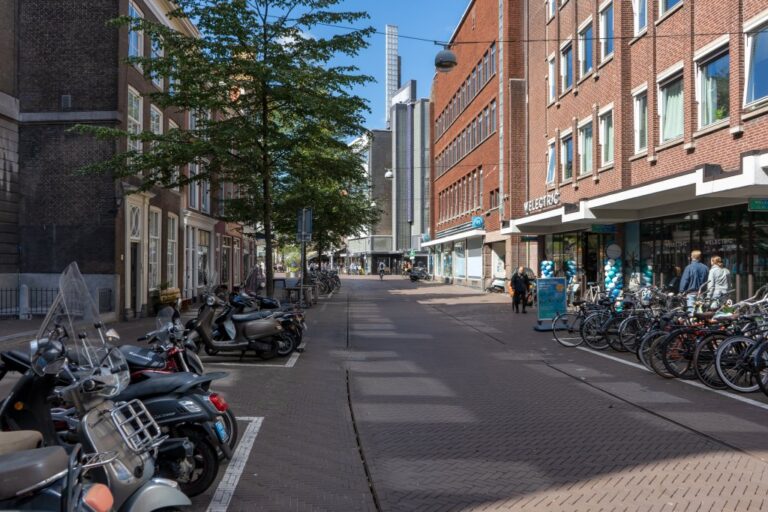 Straße in Den Haag, Fahrräder, Bäume, Häuser