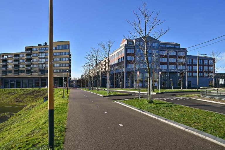 Neubaugebiet in den Niederlanden, Radweg, Straße, Bäume