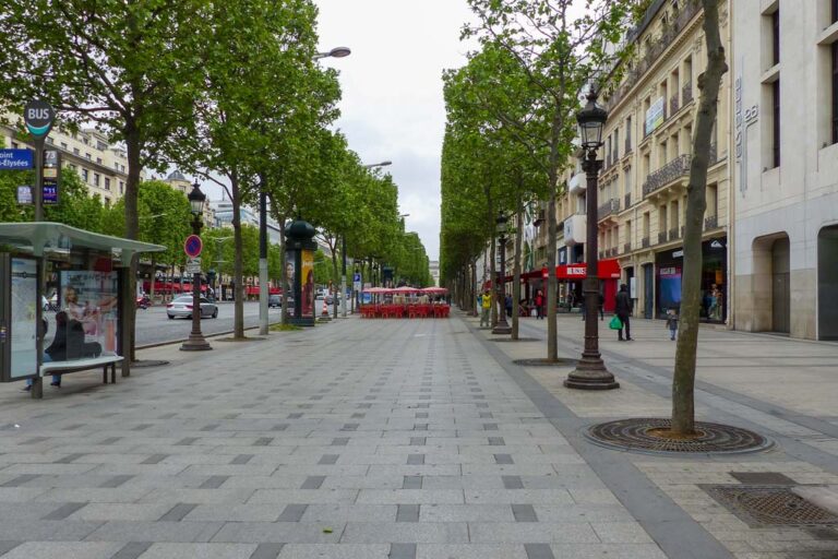 Prachtstraße mit Baumreihen in Paris