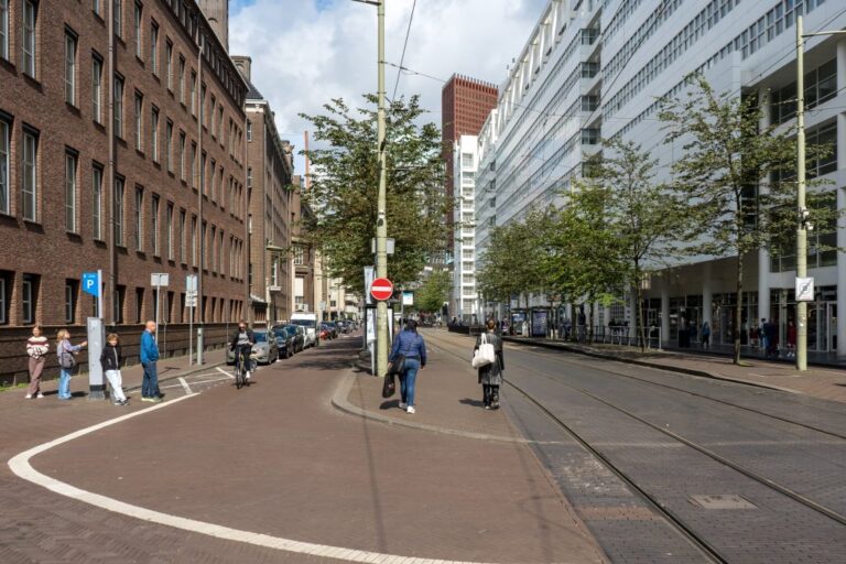 Straße in Den Haag, Bäume, hohe Gebäude