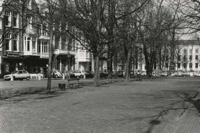 Straße mit vielen Bäumen