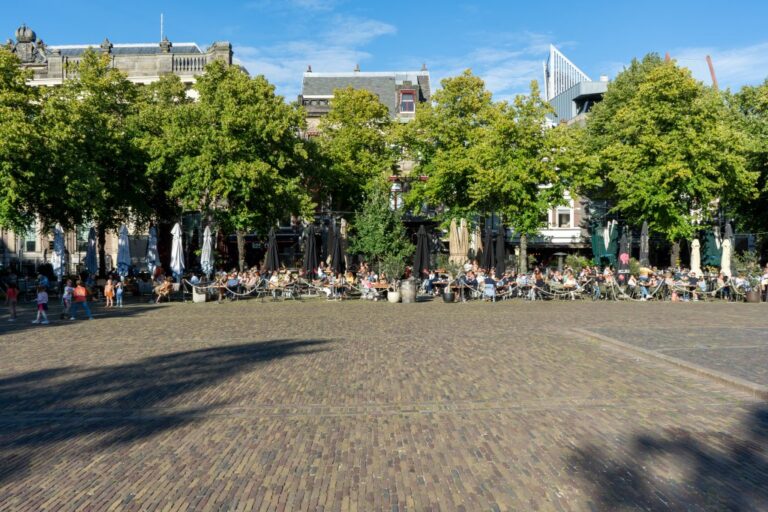 Platz in Den Haag, Bäume, Häuser, in Gastgärten sitzende Leute, gepflasterte Platzfläche