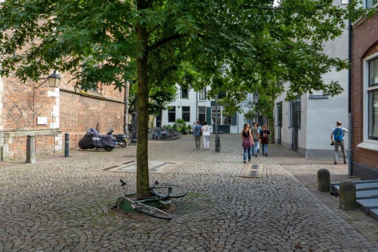 Baum neben einer Kirche in Utrecht