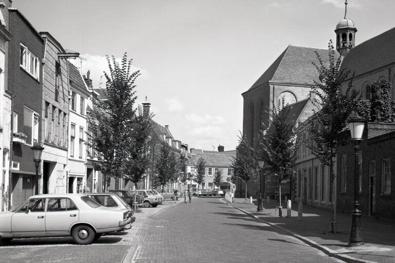 Straße mit kleinen Häusern, Bäumen und Autos