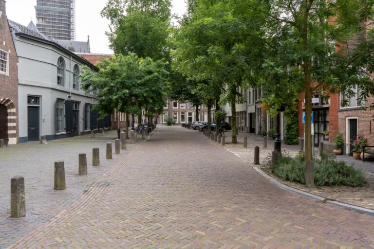 Straße, Poller, Bäume