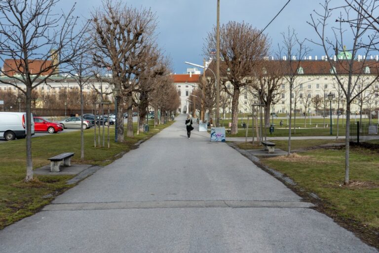 Person geht auf einem Gehweg zwischen Bäumen über den Heldenplatz in Richtung Ballhausplatz