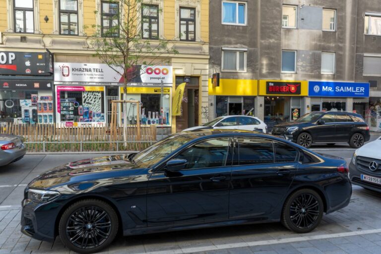 parkende Autos, Geschäfte, Baum, Wohnhäuser