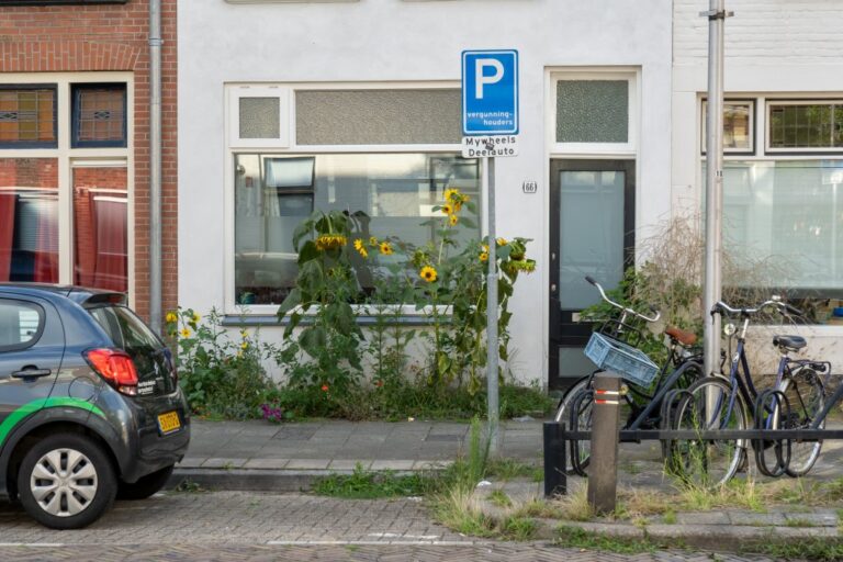 Gehsteig, Sonnenblumen, Auto, Verkehrszeichen