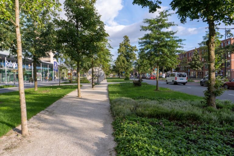 Straße mit Grünflächen