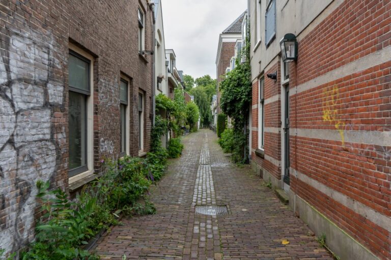 schmale Gasse in Utrecht, Backsteingebäude, Pflanzen