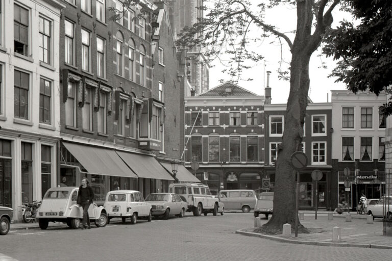 Autos, Baum, alte Häuser