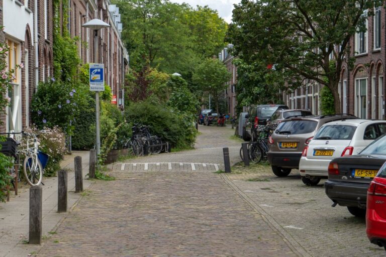 Gasse mit Bäumen und Pflanzen, Autos, Backsteingebäude