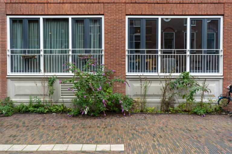Erdgeschoßfassade mit davorliegendem Grünstreifen
