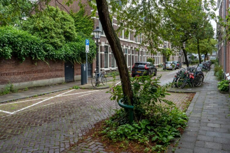 Gasse mit Bäumen und Pflanzen, Autos, Backsteingebäude